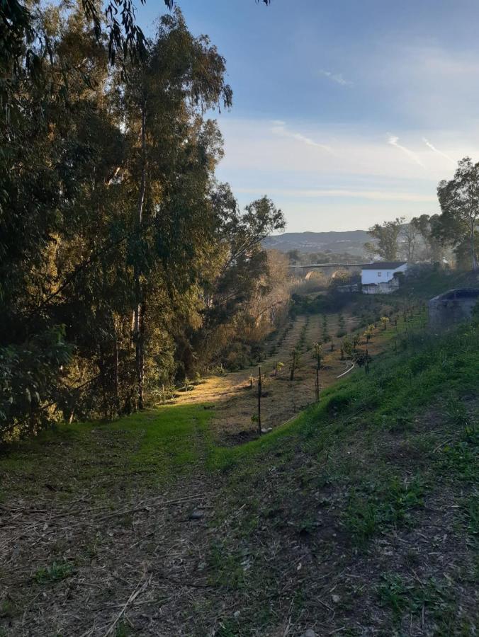 Cortijo El Puente Vendégház Viñuela Kültér fotó